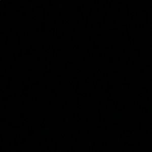 Meet your Posher, Britney